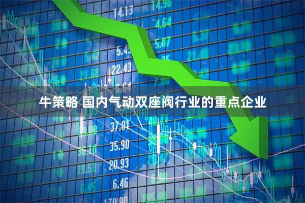 牛策略 国内气动双座阀行业的重点企业