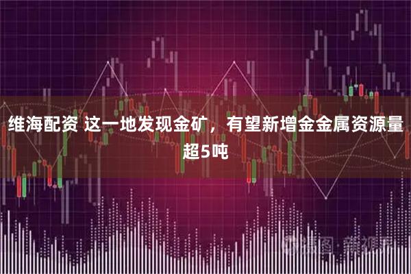 维海配资 这一地发现金矿，有望新增金金属资源量超5吨