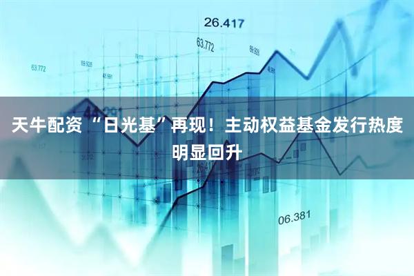 天牛配资 “日光基”再现！主动权益基金发行热度明显回升