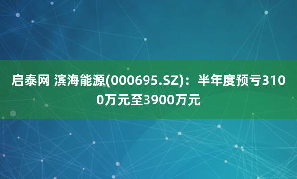 启泰网 滨海能源(000695.SZ)：半年度预亏3100万元至3900万元
