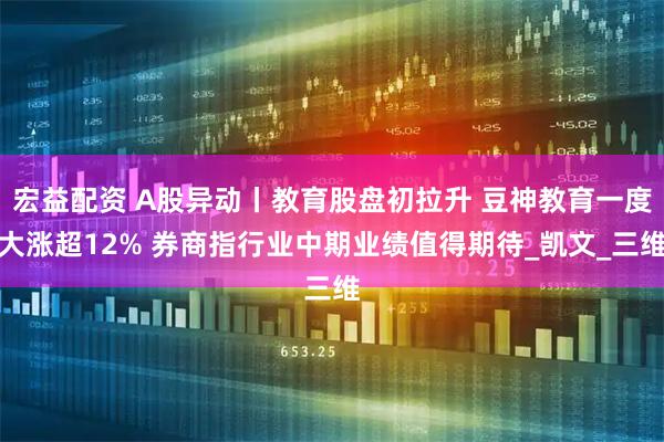 宏益配资 A股异动丨教育股盘初拉升 豆神教育一度大涨超12% 券商指行业中期业绩值得期待_凯文_三维