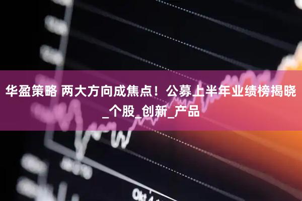 华盈策略 两大方向成焦点！公募上半年业绩榜揭晓_个股_创新_产品