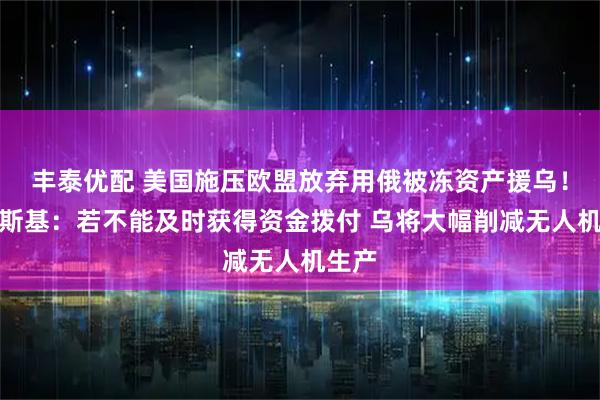 丰泰优配 美国施压欧盟放弃用俄被冻资产援乌！泽连斯基：若不能及时获得资金拨付 乌将大幅削减无人机生产